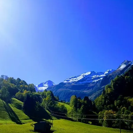 Seidl 2 * Раурис